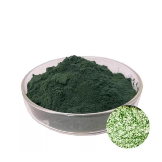 Chlorella Powder